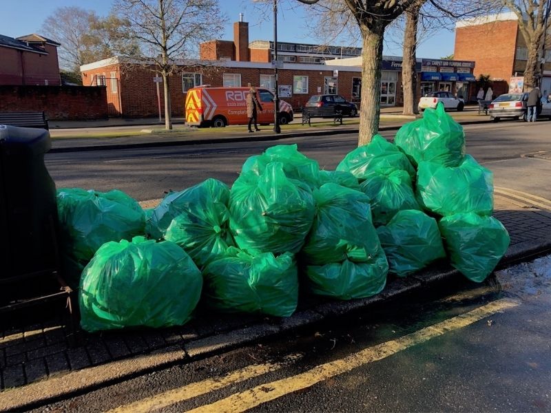 Library Garden - Clear Up