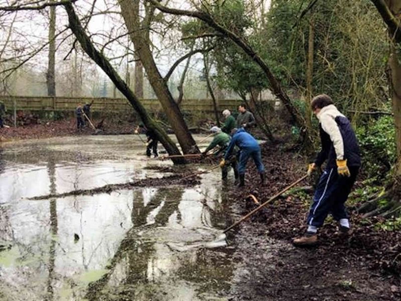 Clearing the Pond.