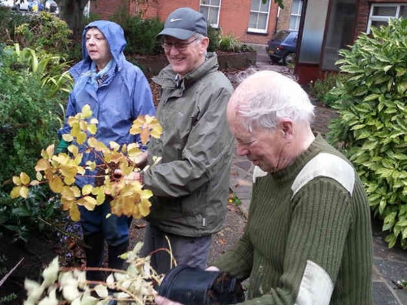 Volunteers planted the new beds.