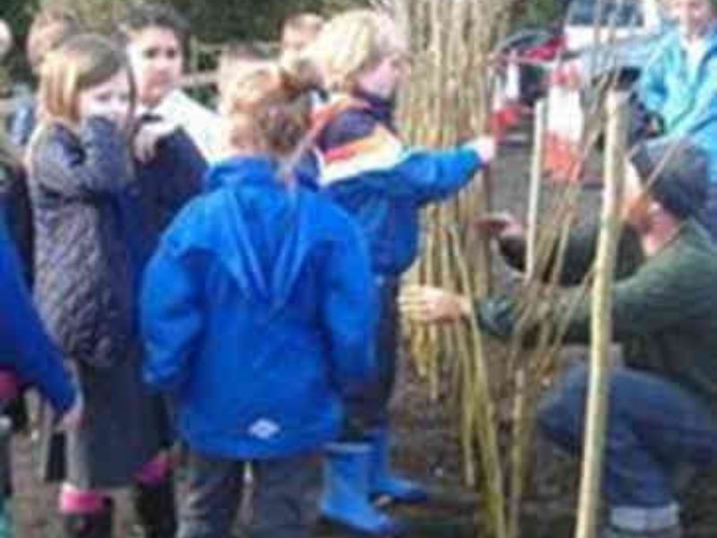 Planting the Fedge.