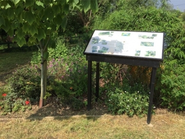 Lord's Bridge Garden - Spring 2018.