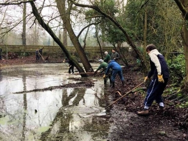 Clearing the Pond.