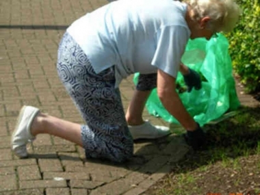Volunteers planted the new beds.
