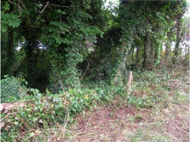 Renfree Corner - Before.
