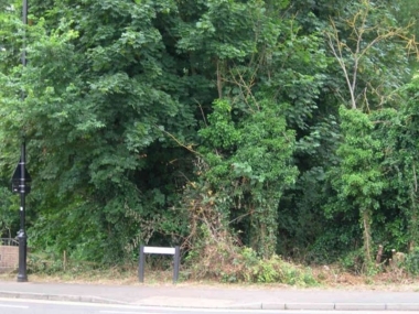 Renfree Corner - Before.