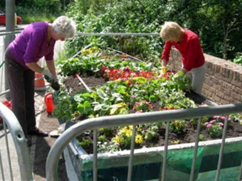Volunteers planting the Dinghy.