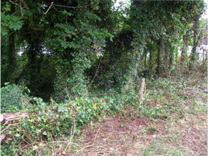 Renfree Corner - Before.